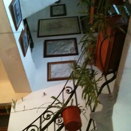Vila 11 *