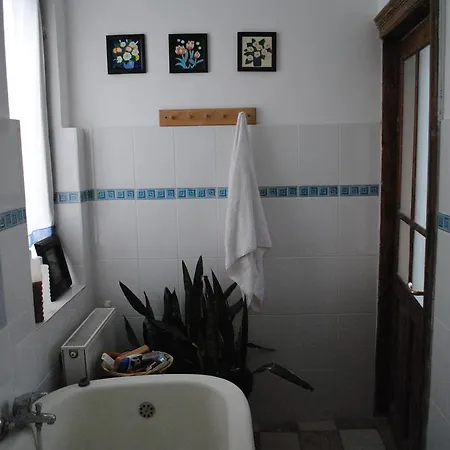 Bed & Breakfast Vila 11