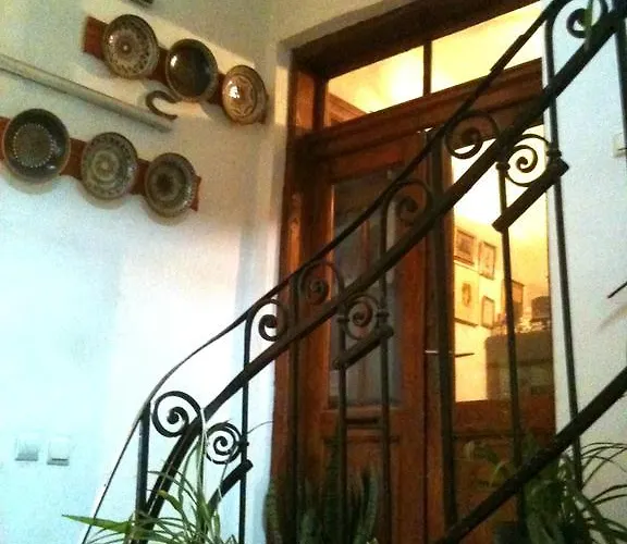 Bed & Breakfast Vila 11