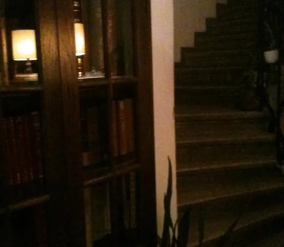 Vila 11 Bed & Breakfast Bukarest