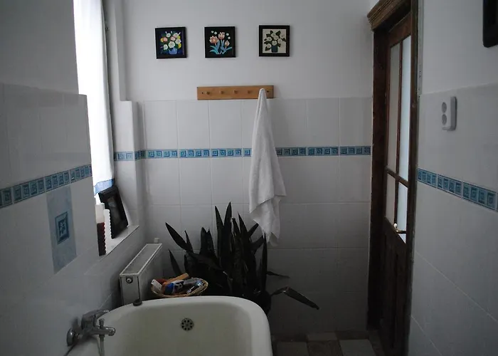 Bed & Breakfast Vila 11