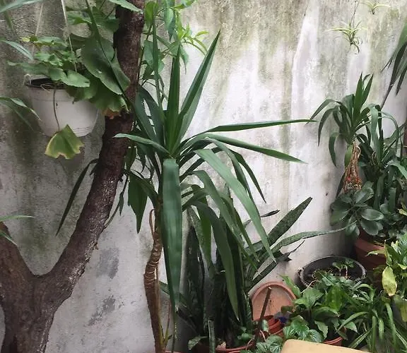 Готель типу 